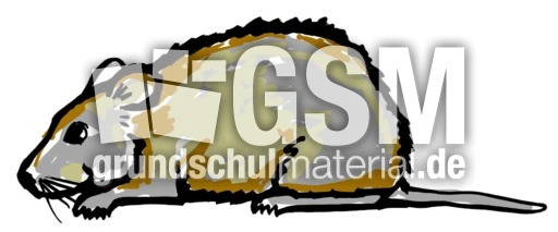 Maus.tif